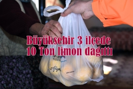 Büyükşehir 3 İlçe Halkına 10 Ton Limon Dağıtıldı